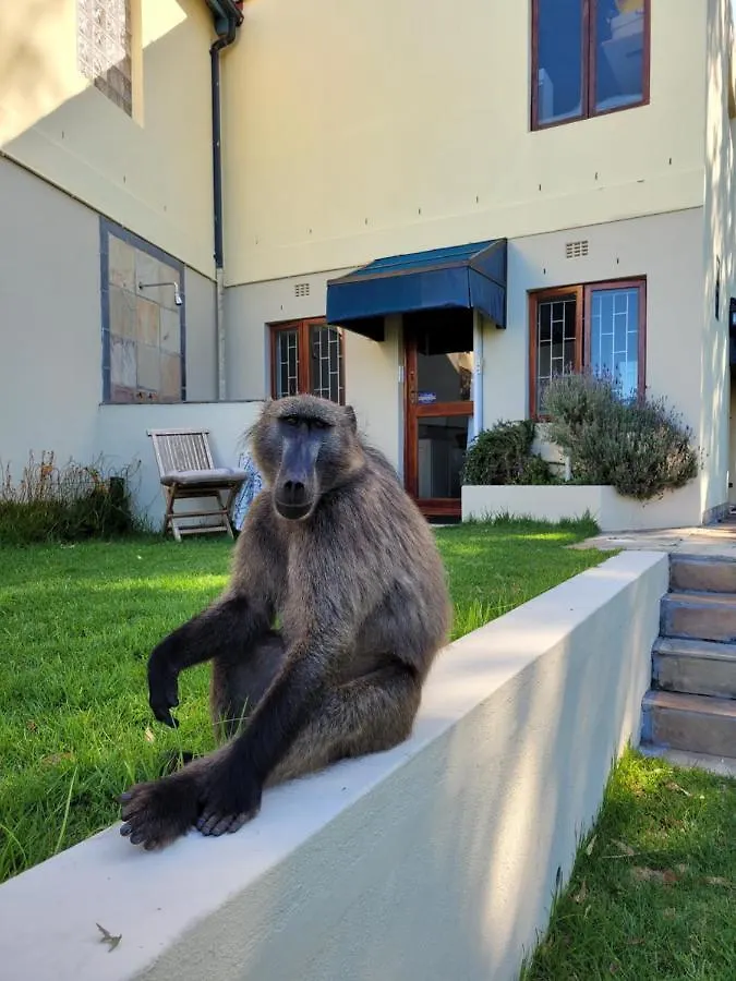 Appartement Froggy Farm Self Catering à Simonʼs Town 0*,