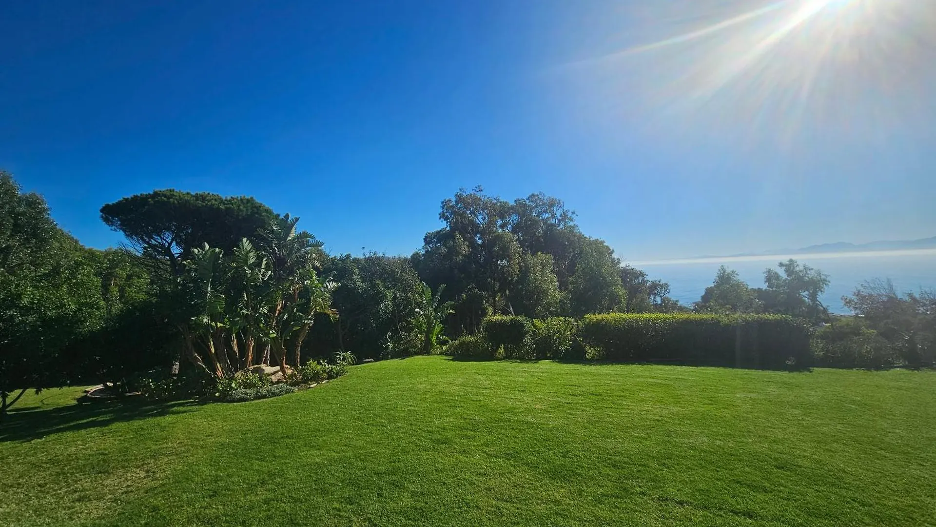 Appartement Froggy Farm Self Catering à Simonʼs Town
